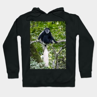 Black and White Colobus Monkey, Arusha National Park Tanzania Hoodie